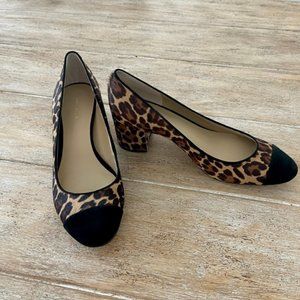 Ann Taylor Odelia Leopard Print Haircalf Cap Toe Pumps, Size 7